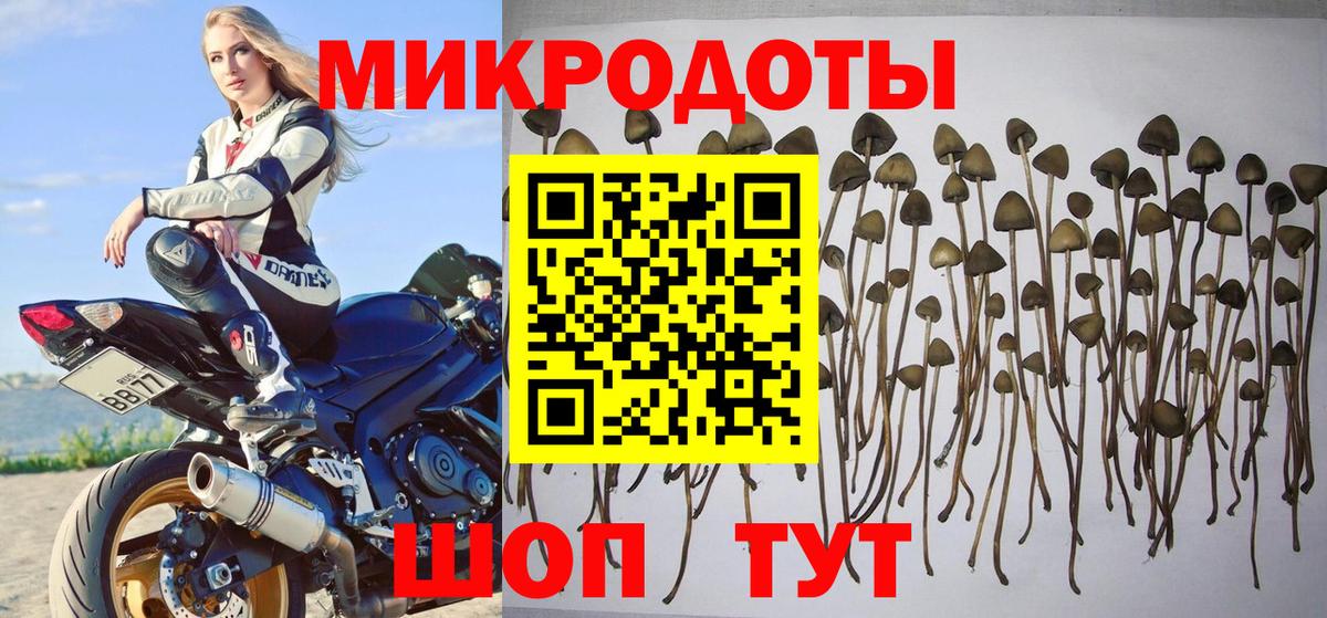 Москва  Псилоцибиновые грибы ЛСД  Вход с VPN  Галлюциногенные грибы Magic Shrooms 